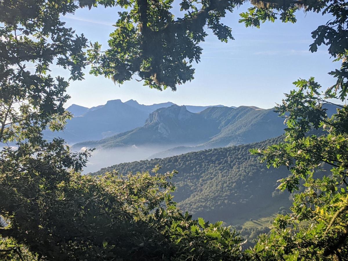 Apartamento Olmares Picos De Europa - 4 Personas Lomeña Kültér fotó